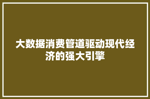 大数据消费管道驱动现代经济的强大引擎