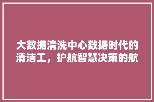 大数据清洗中心数据时代的清洁工，护航智慧决策的航船