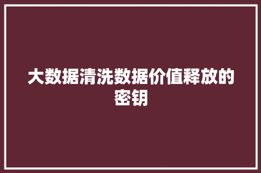 大数据清洗数据价值释放的密钥