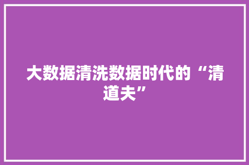 大数据清洗数据时代的“清道夫”