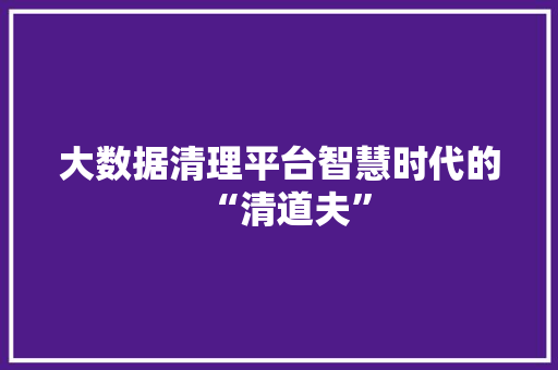 大数据清理平台智慧时代的“清道夫”