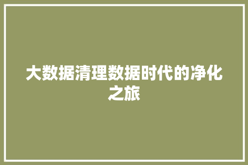 大数据清理数据时代的净化之旅