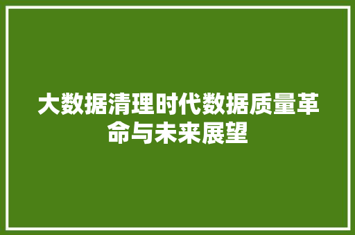大数据清理时代数据质量革命与未来展望