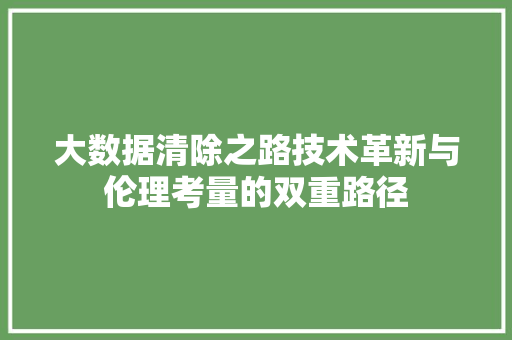 大数据清除之路技术革新与伦理考量的双重路径