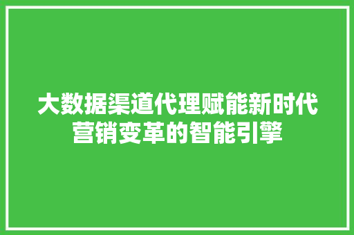 大数据渠道代理赋能新时代营销变革的智能引擎
