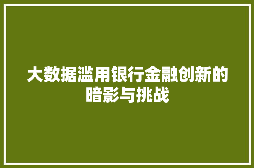 大数据滥用银行金融创新的暗影与挑战