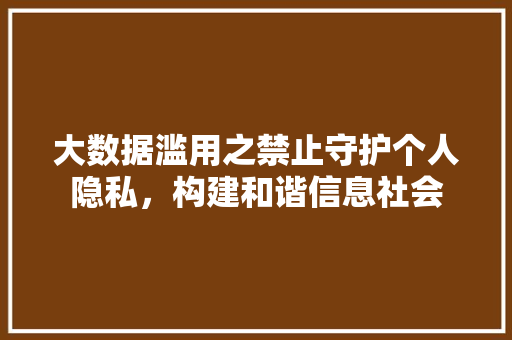 大数据滥用之禁止守护个人隐私，构建和谐信息社会