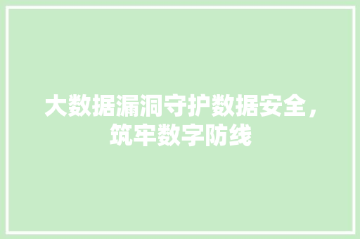 大数据漏洞守护数据安全，筑牢数字防线
