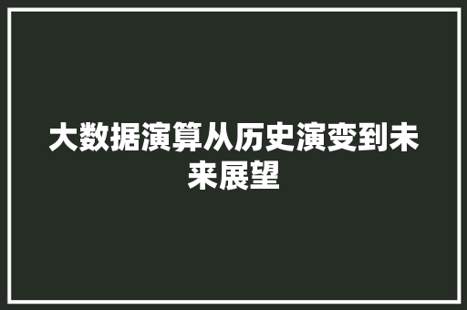 大数据演算从历史演变到未来展望