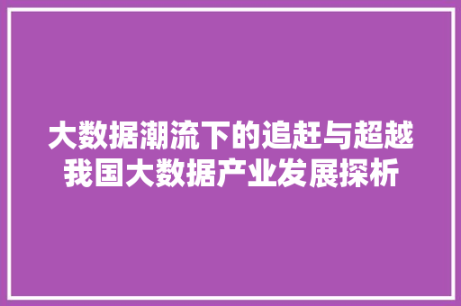 大数据潮流下的追赶与超越我国大数据产业发展探析