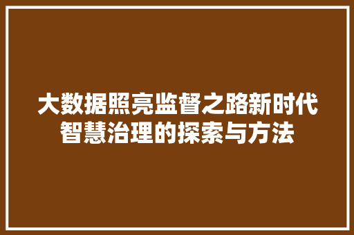 大数据照亮监督之路新时代智慧治理的探索与方法