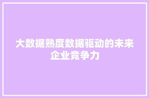 大数据熟度数据驱动的未来企业竞争力