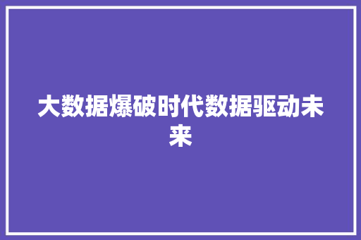 大数据爆破时代数据驱动未来