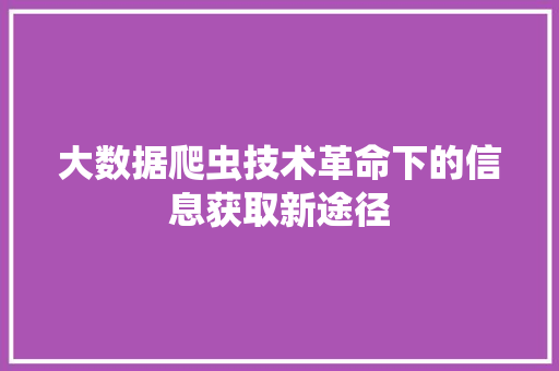 大数据爬虫技术革命下的信息获取新途径