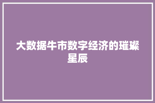 大数据牛市数字经济的璀璨星辰