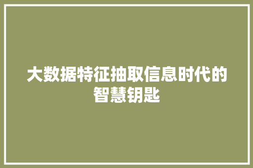 大数据特征抽取信息时代的智慧钥匙