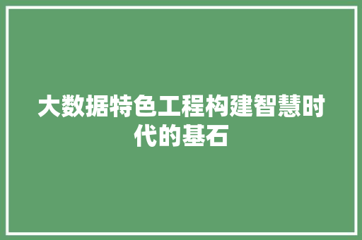 大数据特色工程构建智慧时代的基石