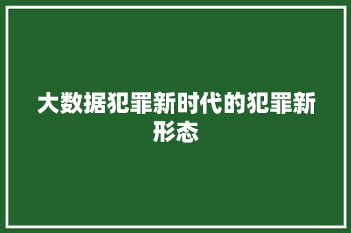 大数据犯罪新时代的犯罪新形态