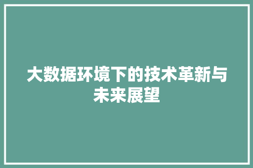 大数据环境下的技术革新与未来展望