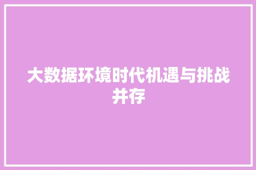 大数据环境时代机遇与挑战并存