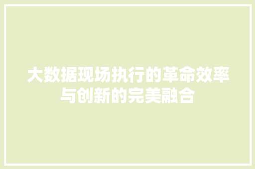 大数据现场执行的革命效率与创新的完美融合
