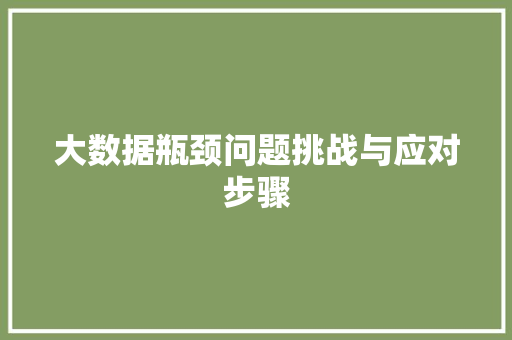 大数据瓶颈问题挑战与应对步骤
