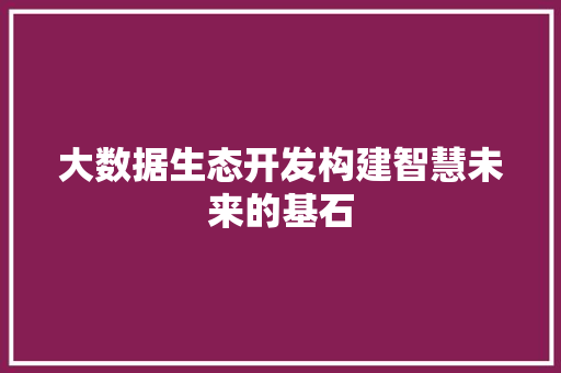 大数据生态开发构建智慧未来的基石 大数据生态开发构建智慧未来的基石