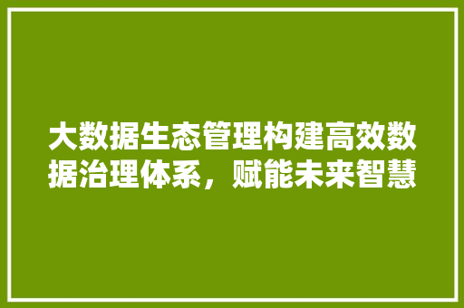 大数据生态管理构建高效数据治理体系,赋能未来智慧发展 大数据生态管理构建高效数据治理体系,赋能未来智慧发展