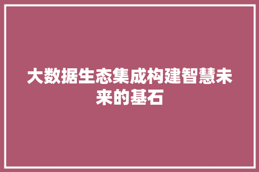 大数据生态集成构建智慧未来的基石