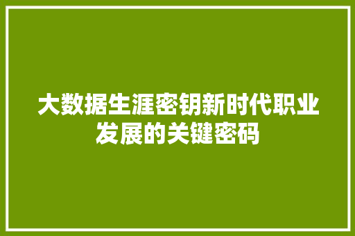 大数据生涯密钥新时代职业发展的关键密码 大数据生涯密钥新时代职业发展的关键密码