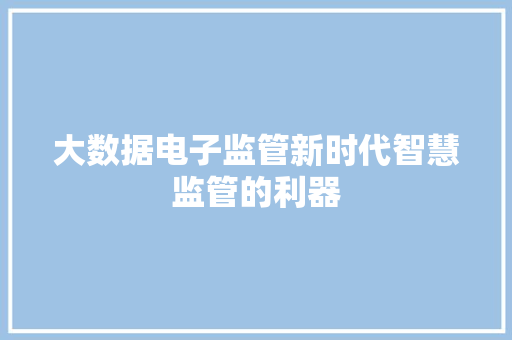 大数据电子监管新时代智慧监管的利器