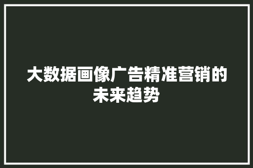 大数据画像广告精准营销的未来趋势 Web前端
