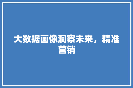 大数据画像洞察未来，精准营销