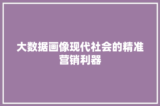 大数据画像现代社会的精准营销利器