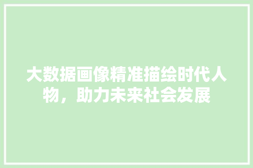 大数据画像精准描绘时代人物，助力未来社会发展