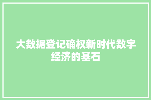 大数据登记确权新时代数字经济的基石