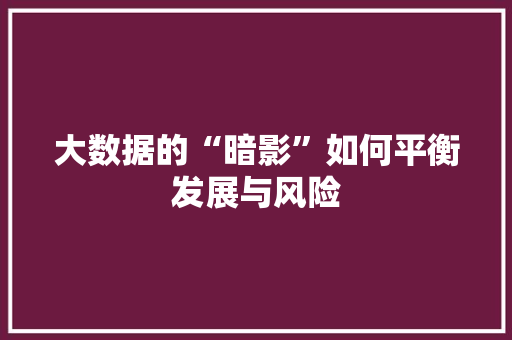 大数据的“暗影”如何平衡发展与风险