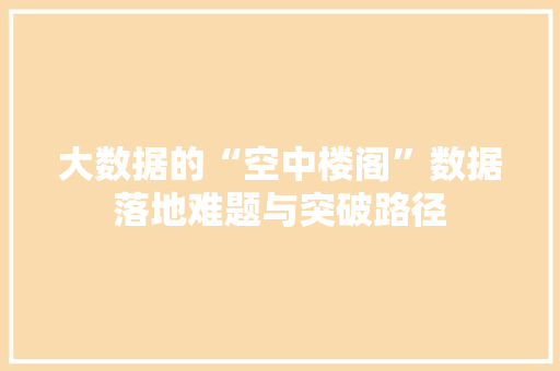大数据的“空中楼阁”数据落地难题与突破路径