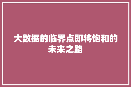 大数据的临界点即将饱和的未来之路