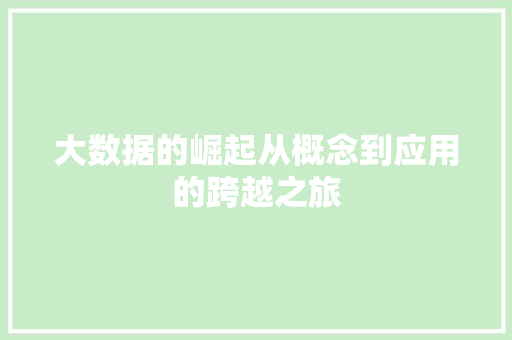大数据的崛起从概念到应用的跨越之旅