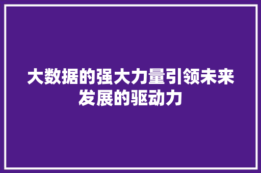 大数据的强大力量引领未来发展的驱动力