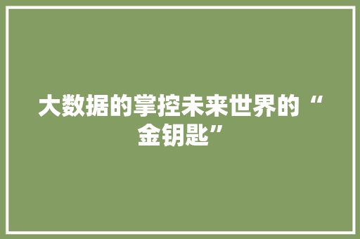 大数据的掌控未来世界的“金钥匙”