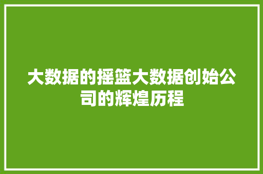 大数据的摇篮大数据创始公司的辉煌历程 SEO教程