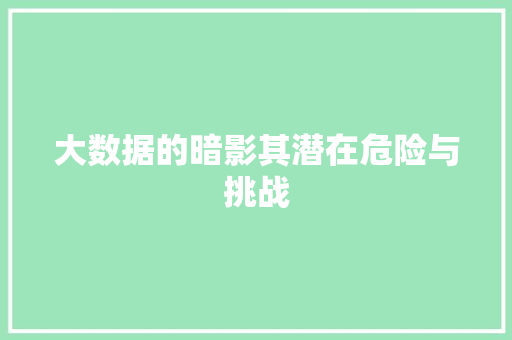 大数据的暗影其潜在危险与挑战 WordPress教程