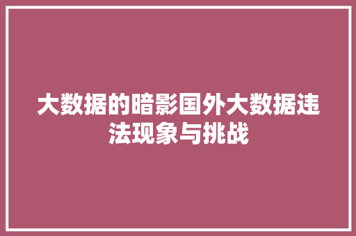 大数据的暗影国外大数据违法现象与挑战