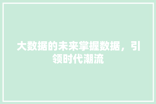 大数据的未来掌握数据，引领时代潮流