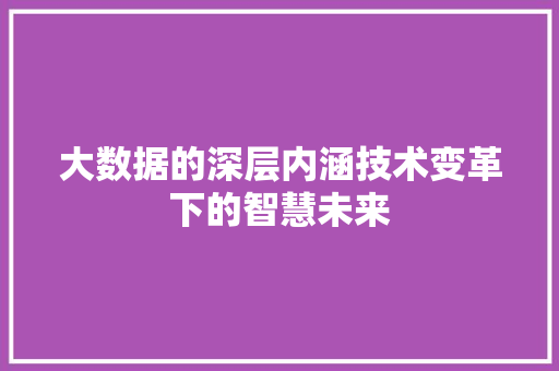 大数据的深层内涵技术变革下的智慧未来 建站教程