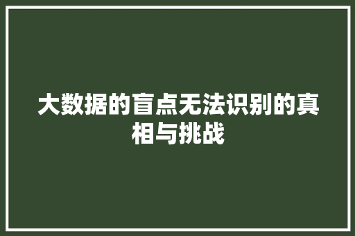 大数据的盲点无法识别的真相与挑战