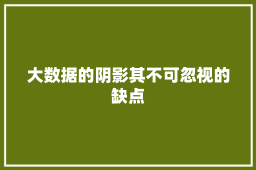 大数据的阴影其不可忽视的缺点