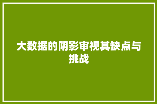 大数据的阴影审视其缺点与挑战